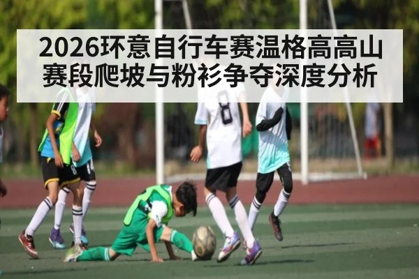 2026环意自行车赛温格高高山赛段爬坡与粉衫争夺深度分析 - ng28